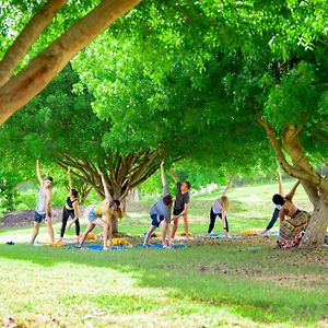 Escape At Nonsuch Bay Antigua (Adults Only)